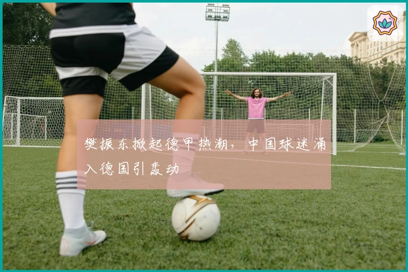 樊振东掀起德甲热潮，中国球迷涌入德国引轰动