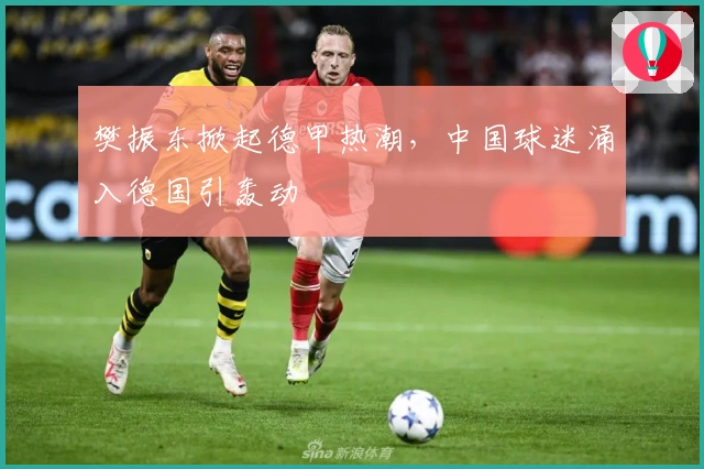 樊振东掀起德甲热潮，中国球迷涌入德国引轰动